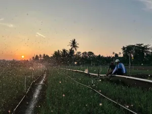 Pemerintah Sebut Tarif Listrik Triwulan III 2026 Dipastikan Tetap