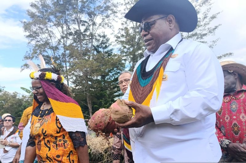 Pemkab Jayawijaya Dorong 328 Kampung Budi Daya Pangan Lok...