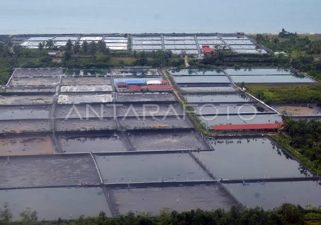 12 Excavator KKP Keruk Sedimentasi Tambak di Aceh, Sumut, dan Sumbar