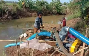 Antisipasi El Nino, BMKG Imbau Petani Lakukan Penyesuaian Jadwal Tanam