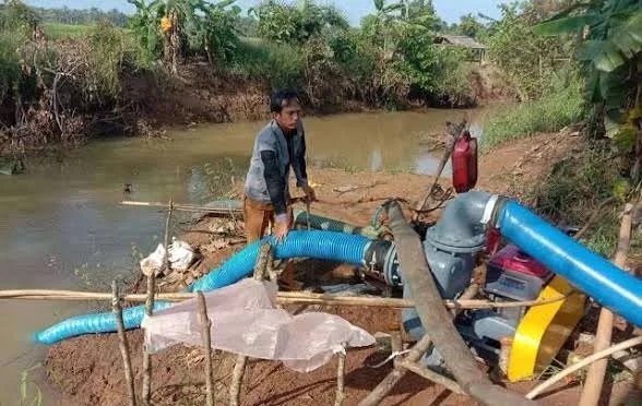 Antisipasi El Nino, BMKG Imbau Petani Lakukan Penyesuaian...