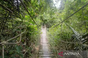 Dispar Kutai Timur Kolaborasi dengan Desa, Wisata Unggulan Dibangun dari Akar Rumput