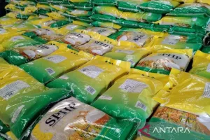 Perum Bulog Sumut Salurkan 21.643 Ton Beras SPHP untuk Jaga Pasokan