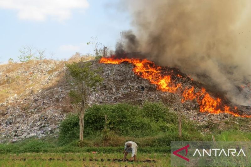 TPA Pakusari Jember Terbakar, Diduga Dipicu Puntung Rokok...