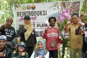 Barantin Selamatkan 18 Flora dan Fauna Endemik Papua dari Perdagangan Ilegal, Dikembalikan ke Habitat Asli