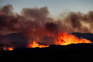 Kebakaran Hutan Prancis Menggila hingga Paksa 10.000 Orang Mengungsi