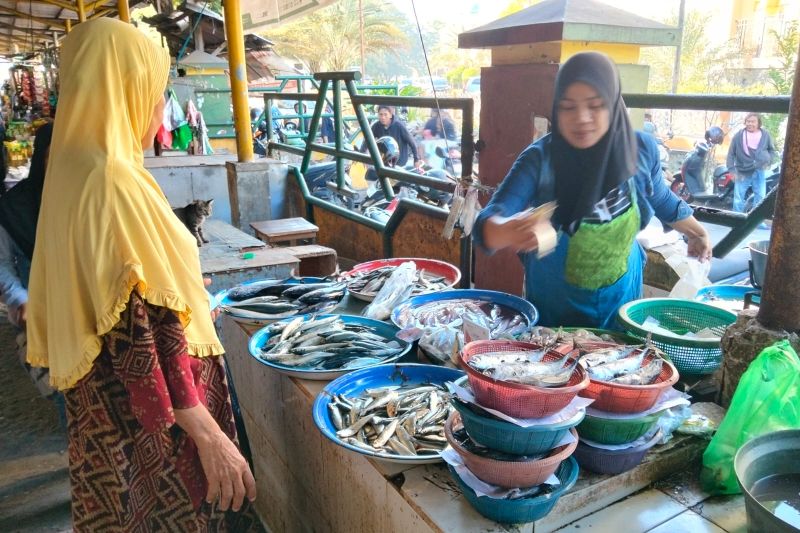 Konsumsi Ikan di Mataram Naik Jadi 55,89 Kg per Kapita, D...