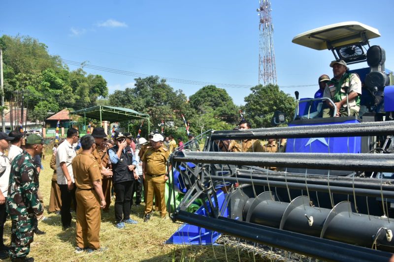 Sumedang Terus Perkuat Produktivitas Pertanian, meski Tel...