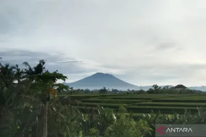 BMKG Prakirakan Cuaca Sebagian Besar Wilayah Indonesia Cerah pada Selasa