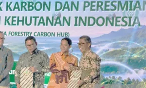 Bukan Kaleng-kaleng, Lima D...