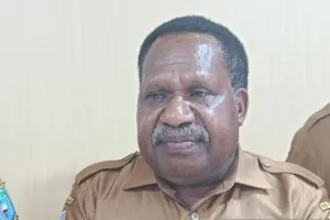 Diskop: Koperasi Milik Pemda Perluas Pasar Hasil Tani Papua Pegunungan