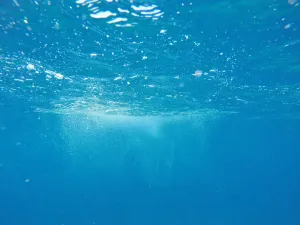 Hanya Pakai Gelembung, Ilmu...