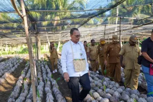 Hilirisasi Perkebunan Dipac...