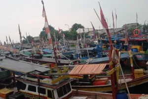 Ikan Tuna Pesisir Selatan Lebak Tembus Ekspor, Ekonomi Nelayan Makin Menguat.