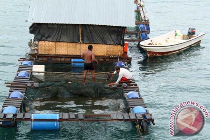 Mengembangkan Perikanan Tambak guna Meningkatkan Ekonomi Nelayan