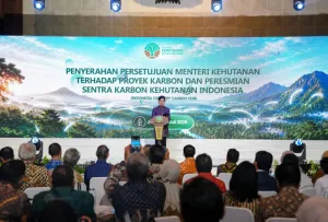 OJK Siapkan Skema Pembiayaan bagi Investasi Karbon di Sektor Kehutanan