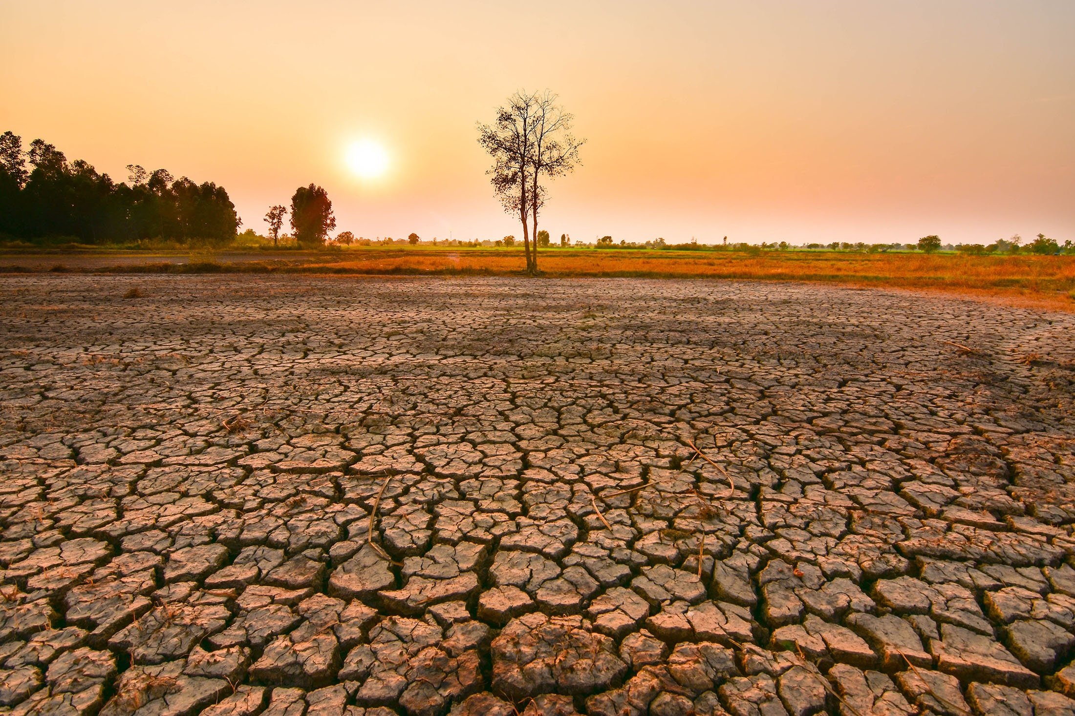 Pakar: El Nino Tahun Ini Mungkin yang Paling Buruk