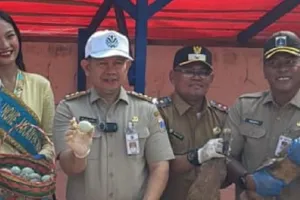 Pemkab Kepulauan Seribu Sulap Sampah Organik Jadi Pakan Ternak, Bangun Kandang Bebek di Pulau Untung Jawa.