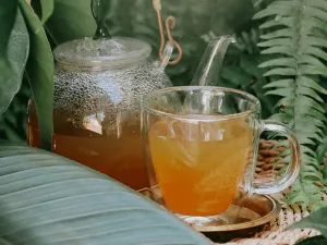 Studi: Teh Hijau dan Oolong...