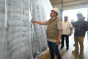 Viral Ada Hama di Gudang Karawang! Direktur Operasi Bulog Langsung Turun
