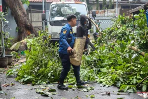 Wali Kota Minta BPBD Bandung Siaga di Musim Kemarau  