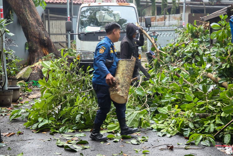 Wali Kota Minta BPBD Bandung Siaga di Musim Kemarau  