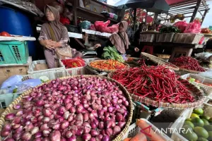 Harga Cabai Rawit Rp61.900/...