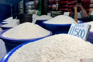 Indeks Harga Beras Tetap Terkendali, Mampukah Stabilitas Ini Bertahan?