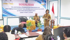 Papua Barat Daya Adang Rabi...