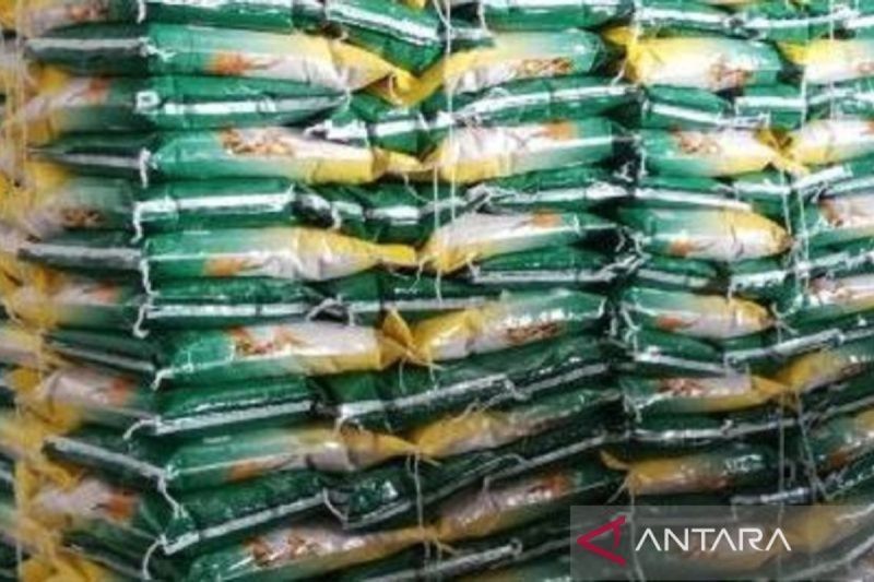 Pemprov Babel Memperkuat Stok Jaga Cegah Harga Beras Naik
