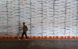 Bappenas: Cadangan Beras Melimpah, Kini Saatnya Jaga Tata Kelola
