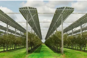 Jangan Pindahkan Penduduk Pulau Rempang untuk Solar Park