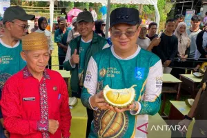 Kelekak Durian Jadi Kebanggaan Bangka Barat dan Penopang Ekonomi