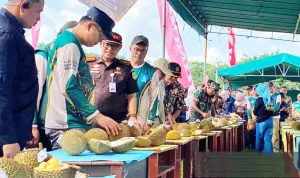 Kontes Buah Durian untuk Promosi Desa Wisata di Babel