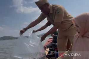 Penebaran 100 Ribu Benih Ikan guna Menjaga Ekosistem
