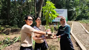 Dari Langkah Pelari Menjadi Hutan, 600 Pohon Rasamala Hijaukan Gunung Halimun Salak