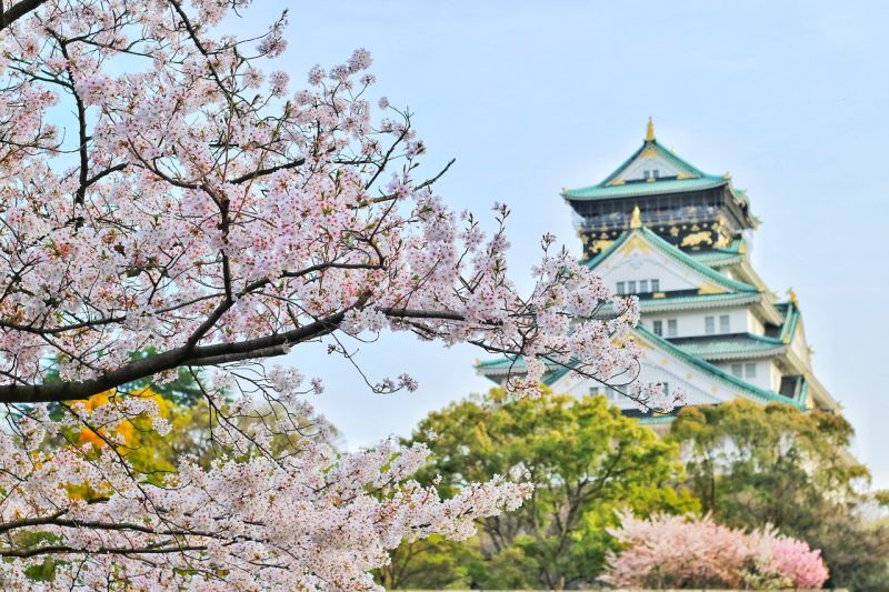 Jepang Krisis Tenaga Kerja, Lebih 70 Persen Hotel Kekurangan Karyawan di Tengah Ledakan Wisatawan.