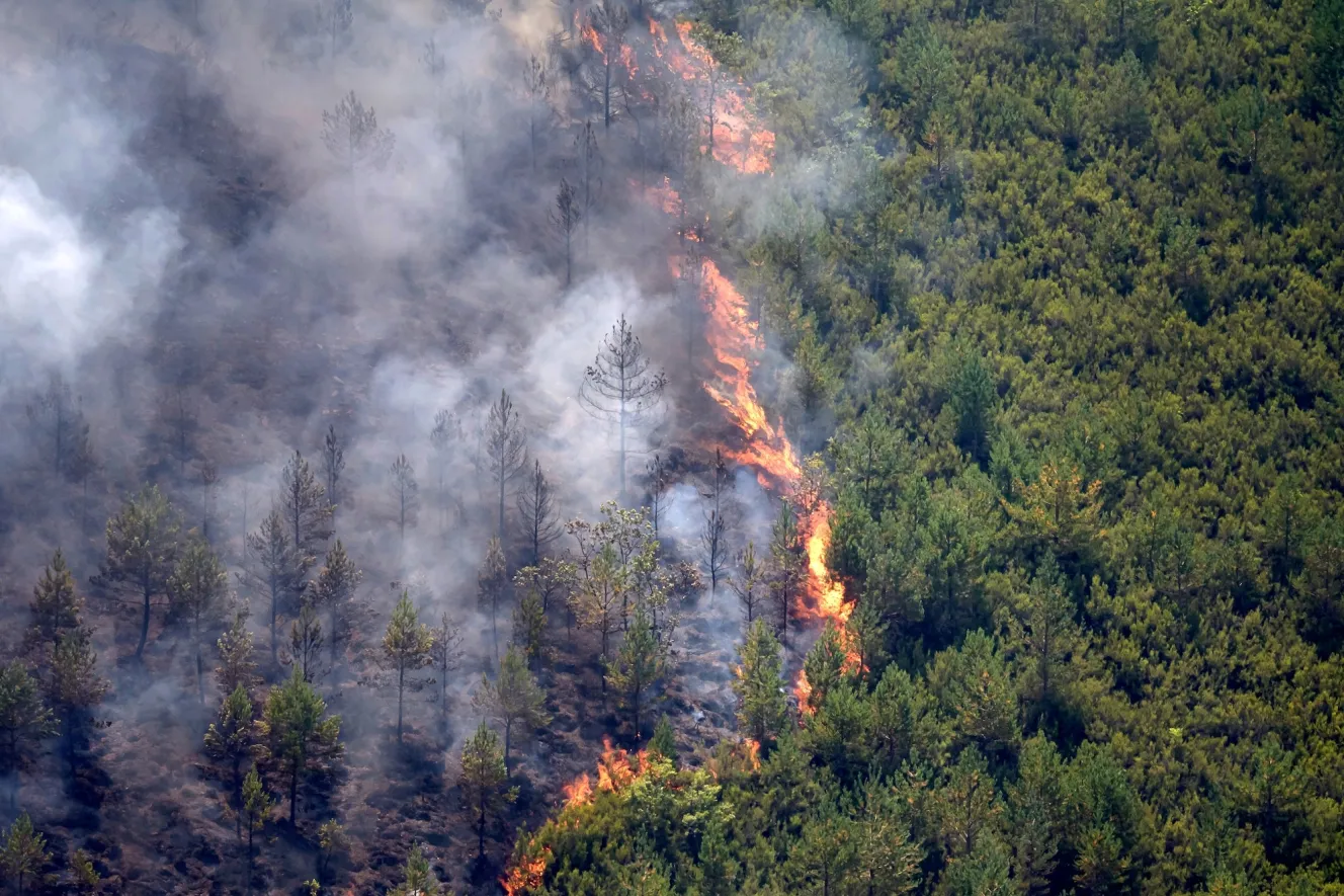 Kebakaran Hutan Lahap Andalusia, 12 Orang Tewas Terjebak ...