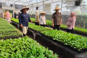 Tak Hanya Wacana, Bogor Buktikan Komitmen Ketahanan Pangan dengan 23 Ribu Bibit