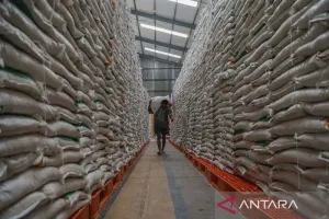 Bapanas Pastikan Ketersediaan Pangan Hadapi Musim Kemarau
