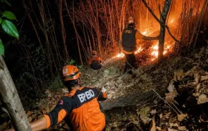 Kebakaran di Gunung Puncang Jatim Hanguskan 2 Hektare Lahan 