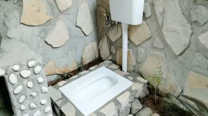 Awas Bahaya! Jangan Tahan Lagi, Ini Dampak Ngeri dan Risiko Menahan BAB