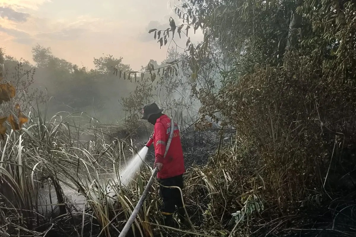 Kebakaran Hutan dan Lahan di Sumsel Mencapai 306 Kejadian...