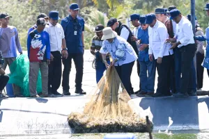 Panen 200-an Ton, Hasil Budidaya Udang Kebumen Tembus Pasar AS