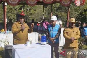 Pemerintah Kabupaten Jayawijaya Pastikan Distrik Taelarek Terima Listrik PLN