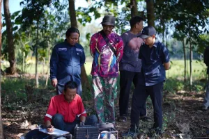Sawah Terancam Kering, Kementan Pasang 16 Pompa Demi Selamatkan Panen