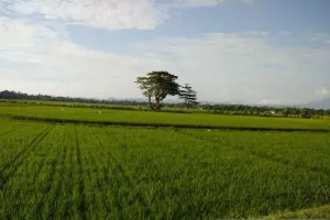 Tak Mau Lahan Tergerus, Bon...