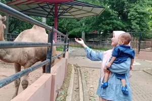 Tiket Gratis untuk Pelajar Dongkrak Kunjungan ke Semarang Zoo  