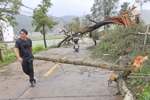 Topan Bavi Hantam Tiongkok