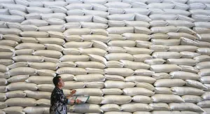 Ekonom Sebut Cadangan Pangan Harus Diperkuat Hadapi El-Nino